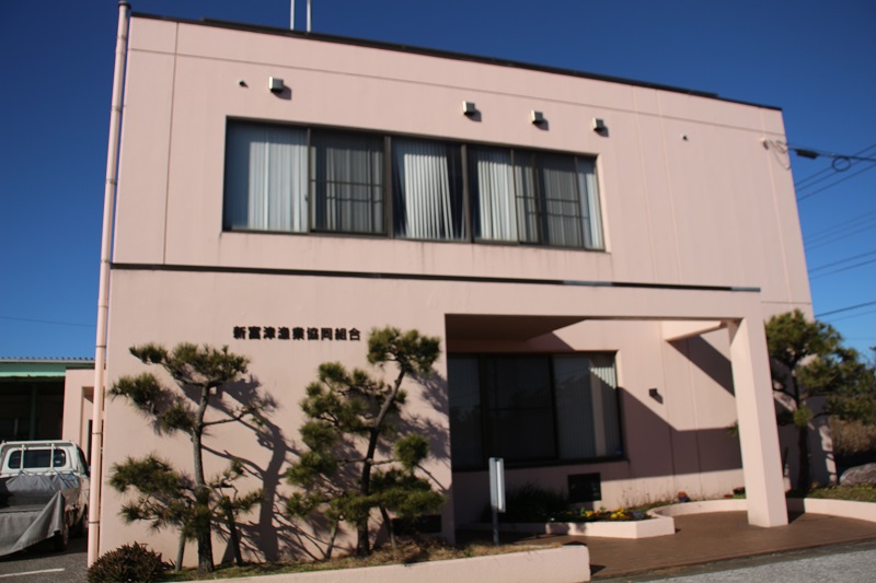 新富津漁業組合