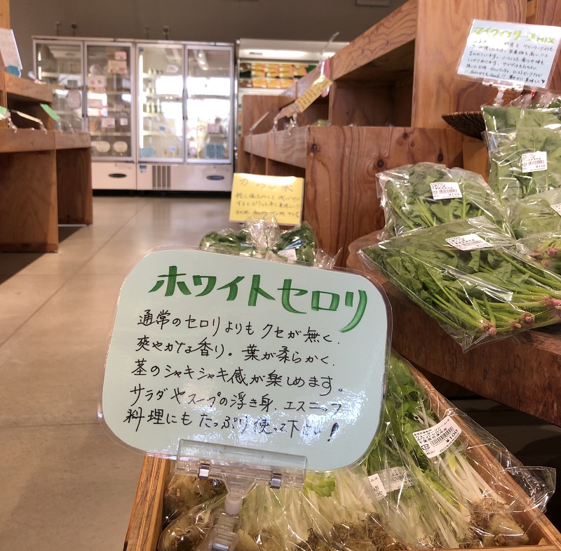 カズサの郷愛彩畑でホワイトセロリの調理法を紹介するPOP
