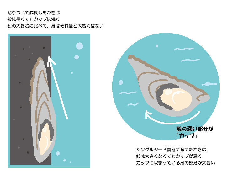 シングルシード法