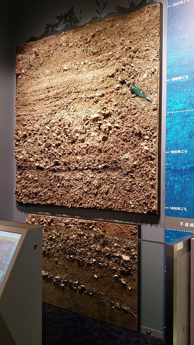 屋内展示の江戸時代の浦安の地層の標本は目玉の１つ