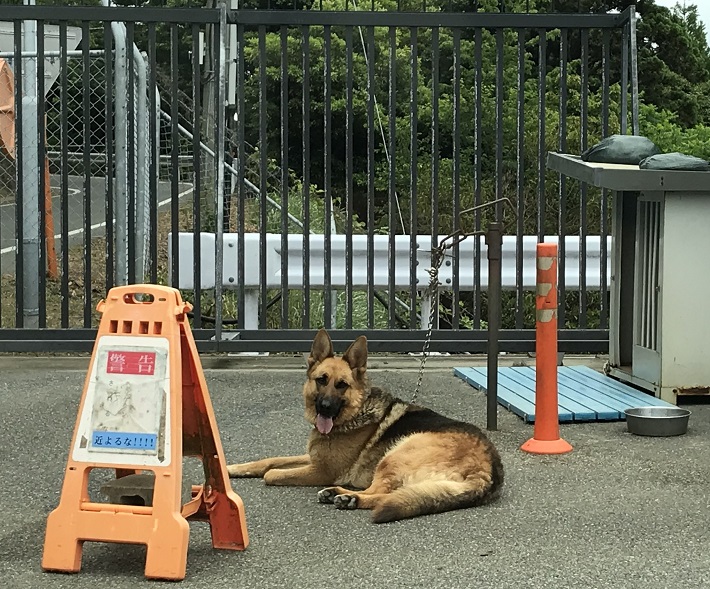 【千葉県で一番高い山は愛宕山】標高408ｍ！最も登頂しにくいという理由とは？