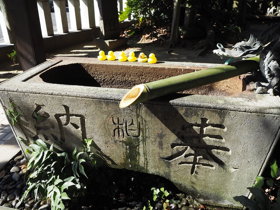 柏諏訪神社2