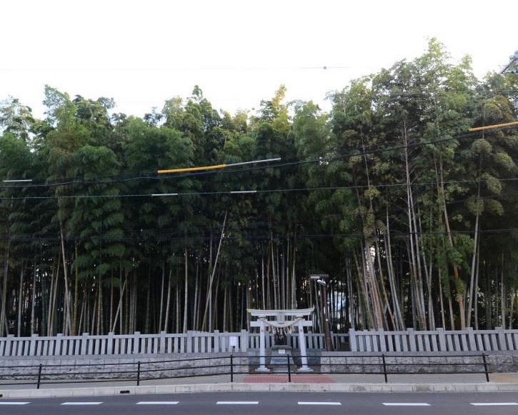 【市川市】入ってはならない!不知八幡森(しらずやわたのもり)は今も残る不思議な藪