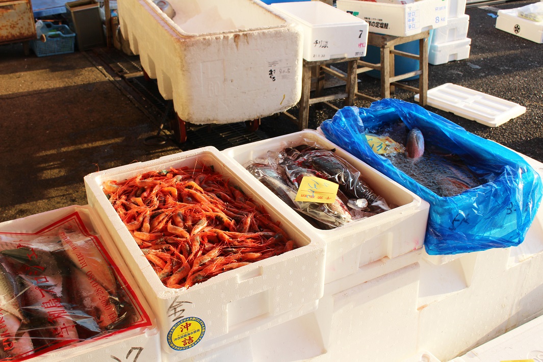 成田市場で見つけた魚やエビなど
