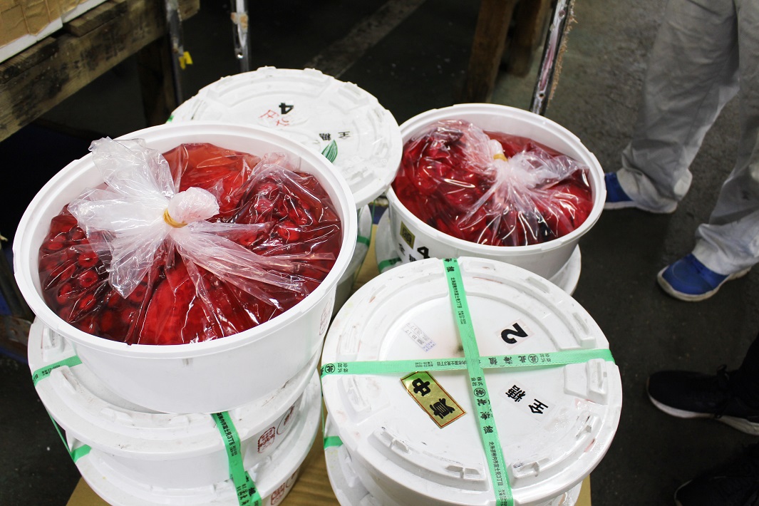 成田市場の関連食品棟で見つけた酢だこ