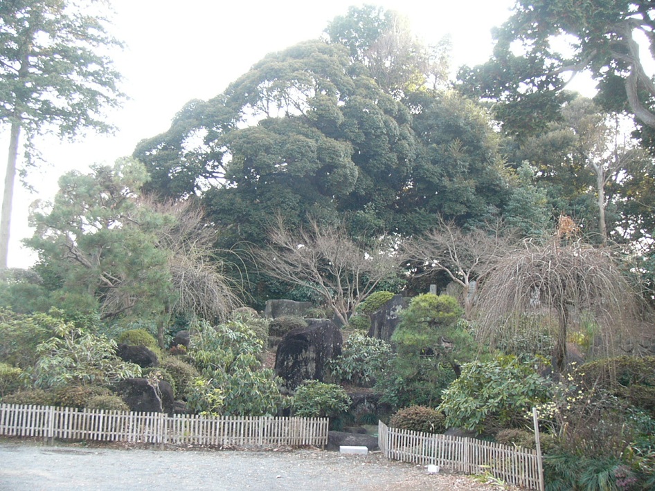 富士塚-２野田市　報恩寺　富士塚全体 ※紙面では未使用