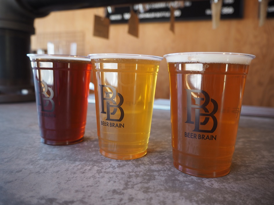 柏の葉のクラフトビール専門店BEER BRAIN /ビア ブレインに行ってきた!【テイクアウトも】