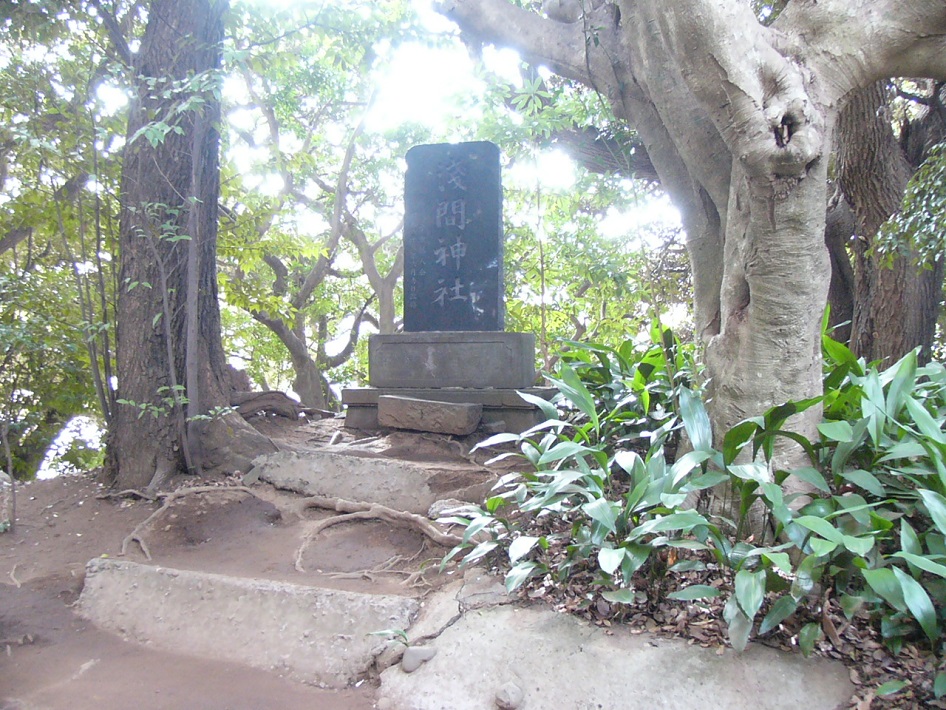 富士塚-３習志野市　丹生（にう）神社　富士塚