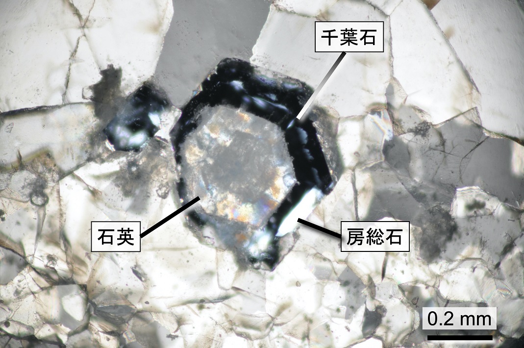 国立科学博物館提供の房総石と千葉石の偏光顕微鏡写真
