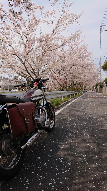 【木更津市】アウトドアやテイクアウトにも！・ 本当は教えたくない木更津通が通う矢那地区の名店3選