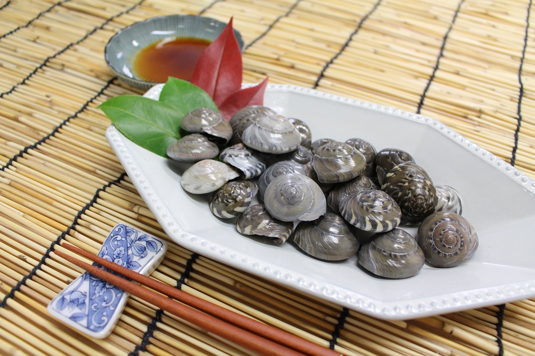 九十九里産のながらみ(ボイル)をお取り寄せして食べてみた