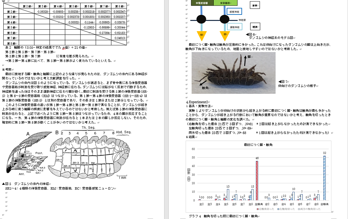 吽野菜々美さんが、2020高校生・高専生科学技術チャレンジ(JSEC)で審査委員奨励賞を受賞した論文の一部