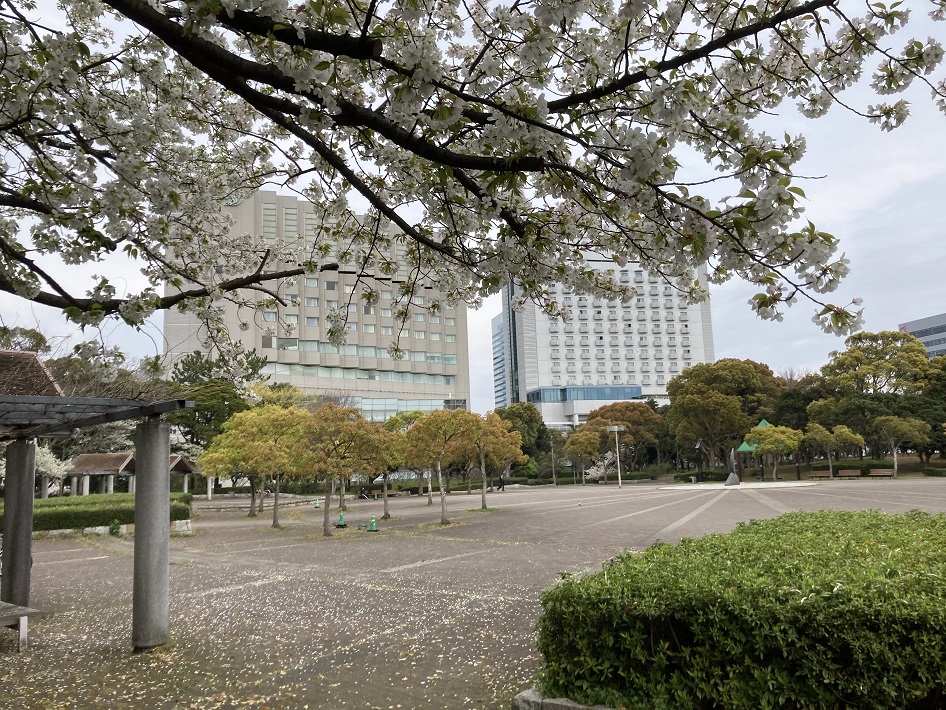 【公園レビュー】GWは幕張海浜公園で思いっきり外遊び！広大な敷地で子連れピクニックやバーベキューを楽しもう！
