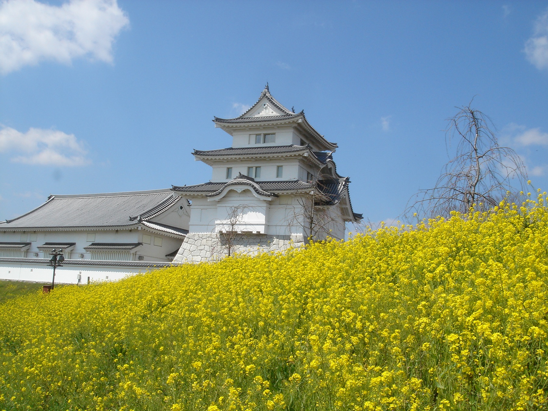 関宿城博物館