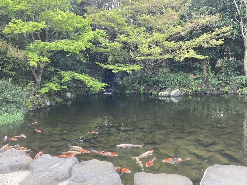 見浜園