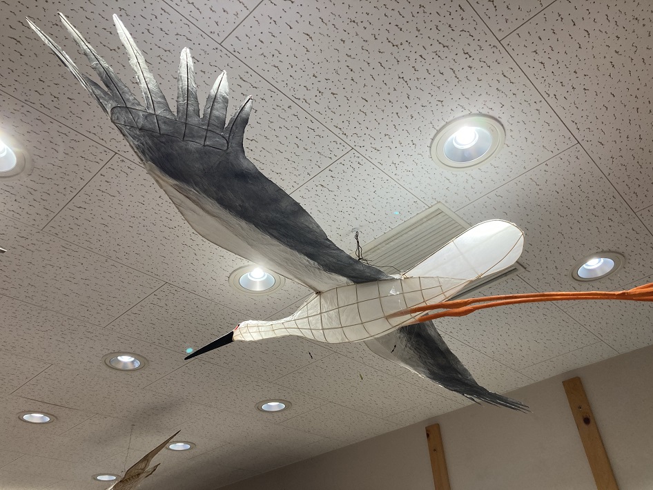 我孫子市 鳥の博物館(とりはく）