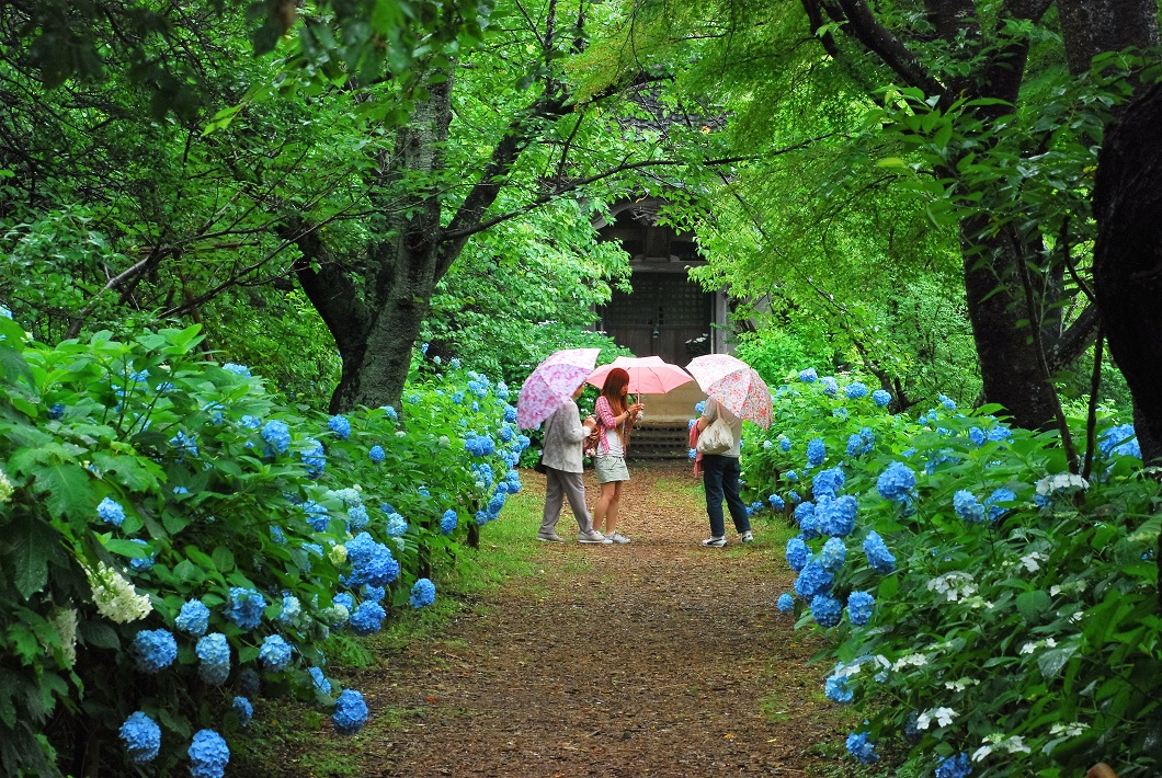三人寄れば雨も楽し