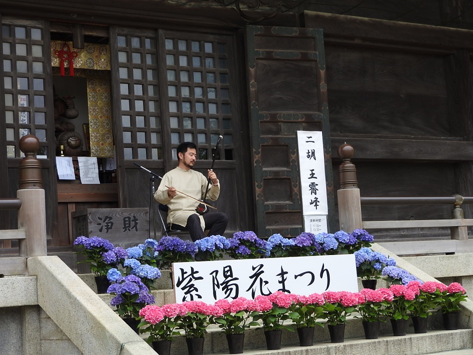 宗吾霊堂　紫陽花まつり