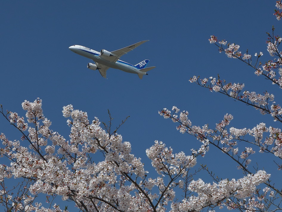 飛行機カメラマンKAJI氏