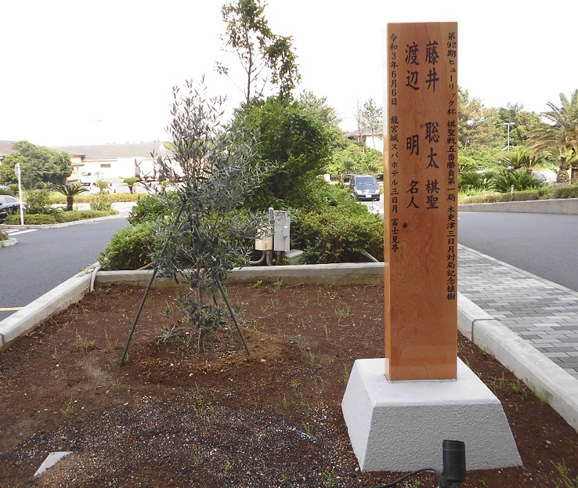富士見亭玄関前には、藤井棋聖と渡辺名人が植えられた記念樹