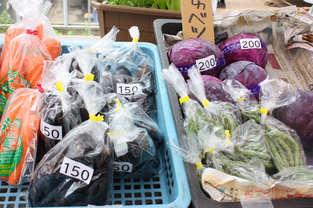 【習志野市】花の実園でマルシェがオープン！毎週水曜の午前9時から