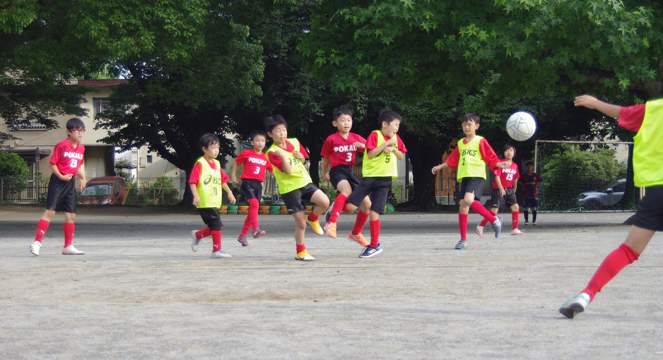 千葉市美浜区を拠点とするジュニアサッカーチーム「ポカルスFC」の練習風景