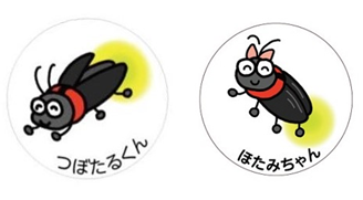 【船橋市】つぼいホタルプロジェクト!坪井湿地を復活する会の取り組み