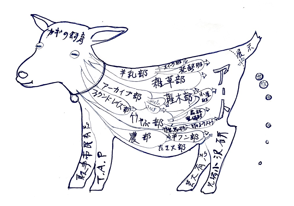 屋根も壁もない透明なアーツセンター「ヤギの目」