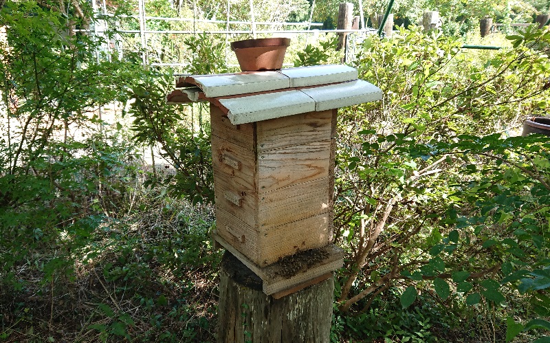 【市原】千葉のお寺カフェ「瑞江」に行ってみた！