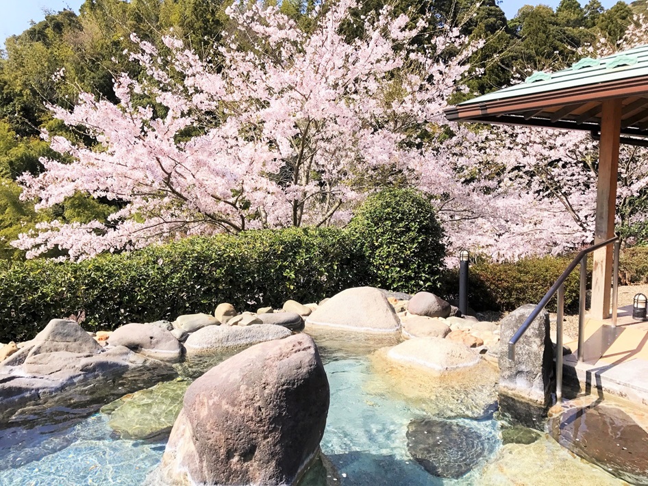 滝見苑 けんこう村 ごりやくの湯