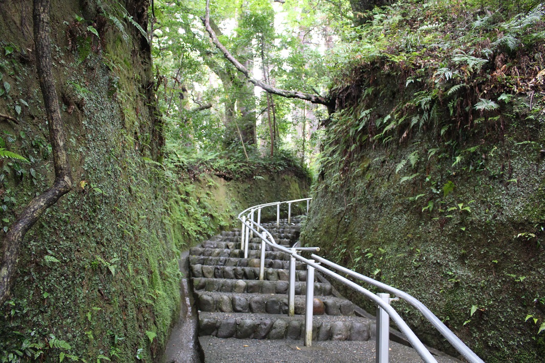 【千葉のパワースポット】笠森観音で自然を満喫！神秘的な名木「三本杉」が見どころ