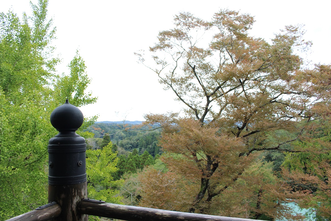 【千葉のパワースポット】笠森観音で自然を満喫！神秘的な名木「三本杉」が見どころ