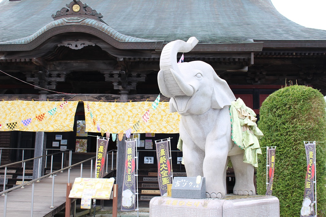 【金運アップのパワースポット】長福寿寺の「吉ゾウくん」でご利益を