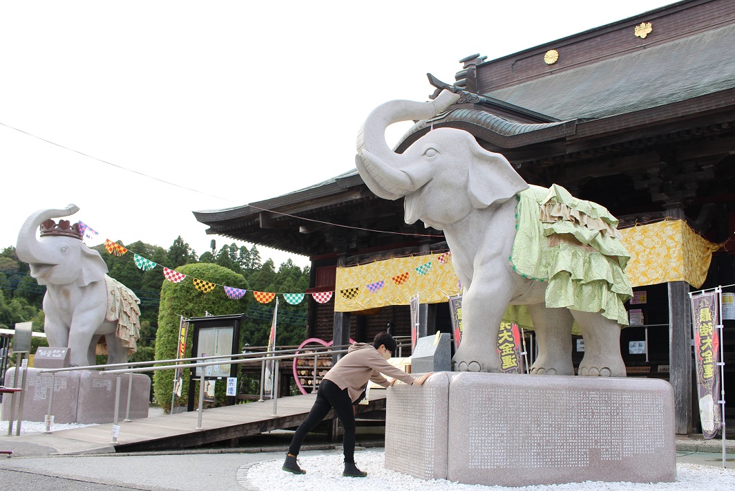 【金運アップのパワースポット】長福寿寺の「吉ゾウくん」でご利益を