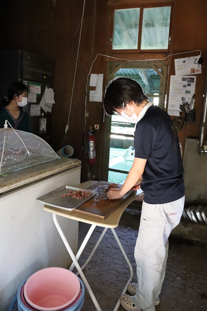 野鳥病院