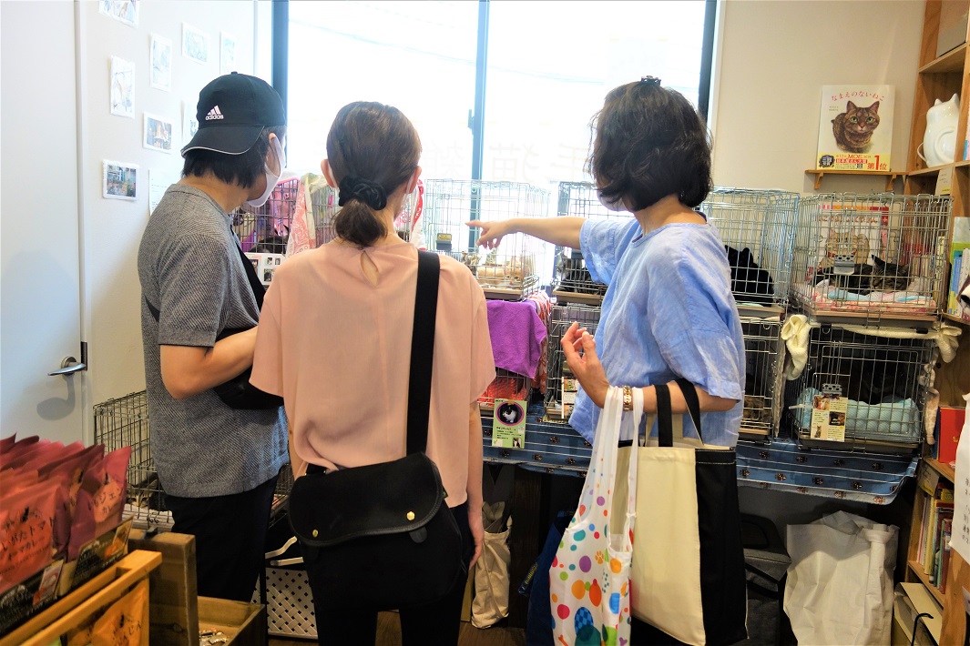 モトニャワタ実行委員会の「保護ねこ譲渡会」の様子