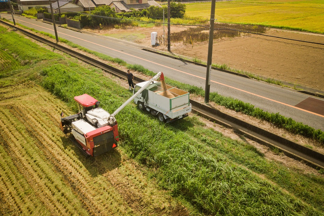 【匝瑳市】SOL FARM 佐藤農園の佐藤真吾さんにインタビュー「ちいき新聞の直送便」の契約農家さん紹介（4）