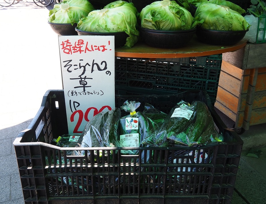 みどりスーパーの「そこらへんの草」