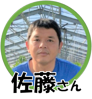 【匝瑳市】SOL FARM 佐藤農園の佐藤真吾さんにインタビュー「ちいき新聞の直送便」の契約農家さん紹介（4）
