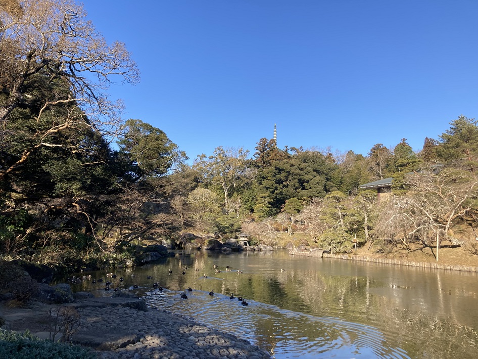 成田山公園は知る人ぞ知るパワースポット！梅林や「雄飛の滝」を満喫しよう