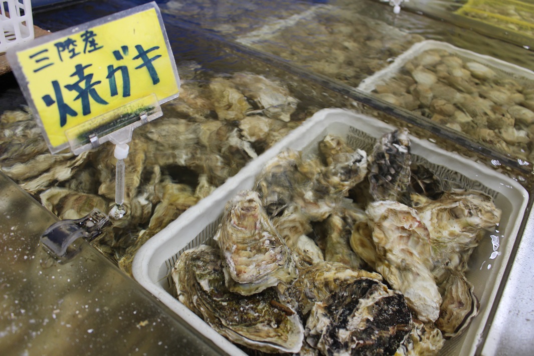 八千代市の牡蠣小屋!水槽の牡蠣が食べ放題
