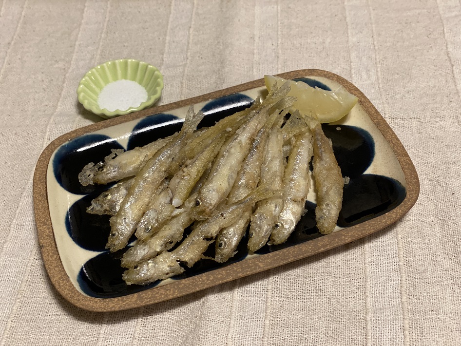 千葉県でもワカサギ釣りができる！子供連れや初心者にもおすすめな市原市・高滝湖