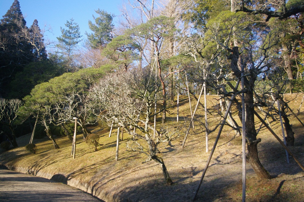 成田山公園は知る人ぞ知るパワースポット！梅林や「雄飛の滝」を満喫しよう