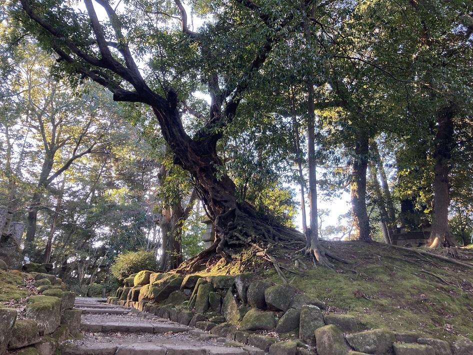 成田山公園は知る人ぞ知るパワースポット！梅林や「雄飛の滝」を満喫しよう