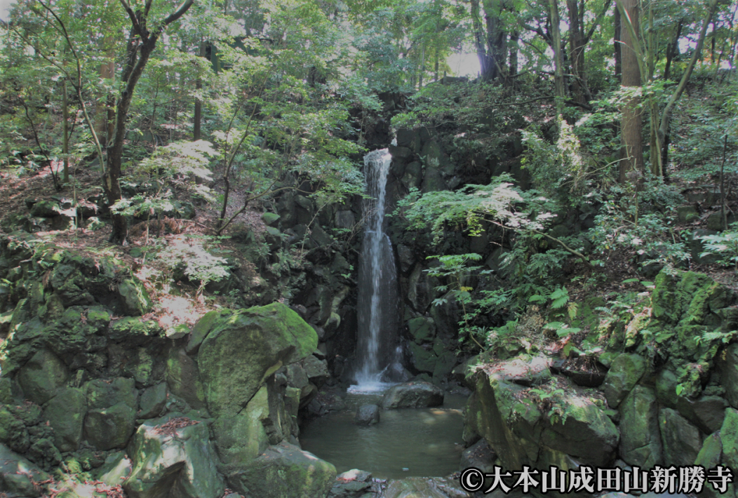 成田山公園は知る人ぞ知るパワースポット！梅林や「雄飛の滝」を満喫しよう