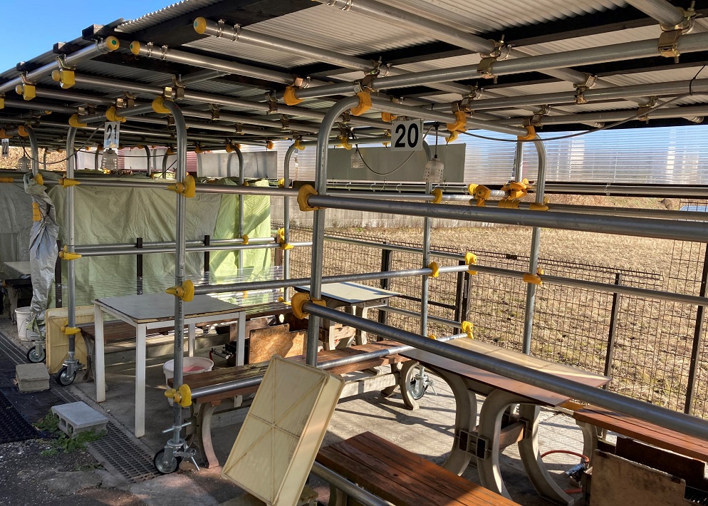 【八千代市】道の駅近くの牡蠣小屋へ!屋外席あり、ペットOK