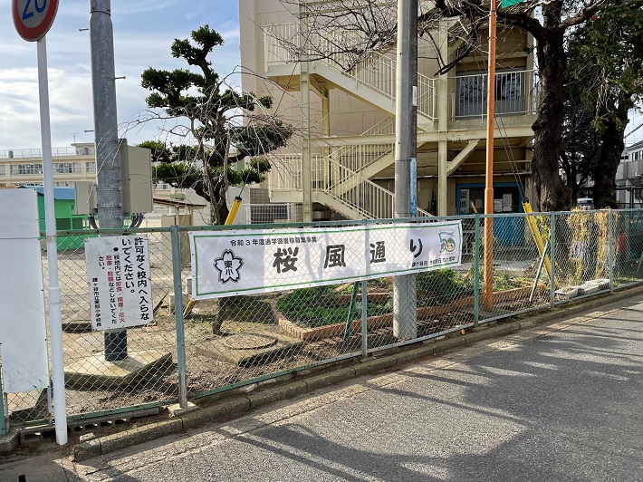東部小学校前の桜風通り