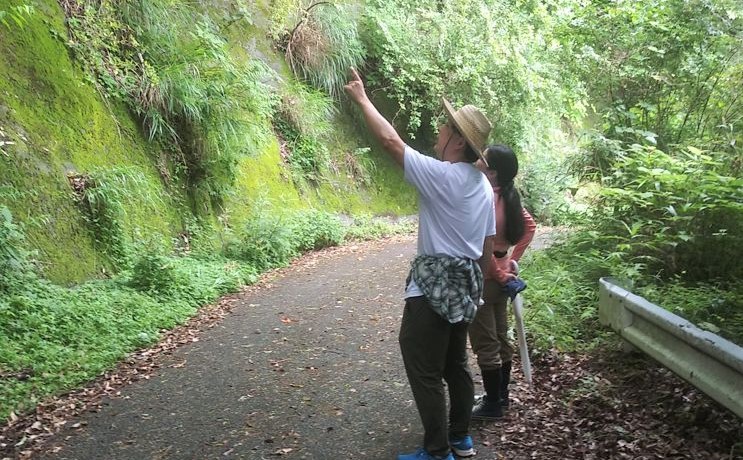 千葉県初!SDGs事業認定旅館「亀山温泉ホテル」