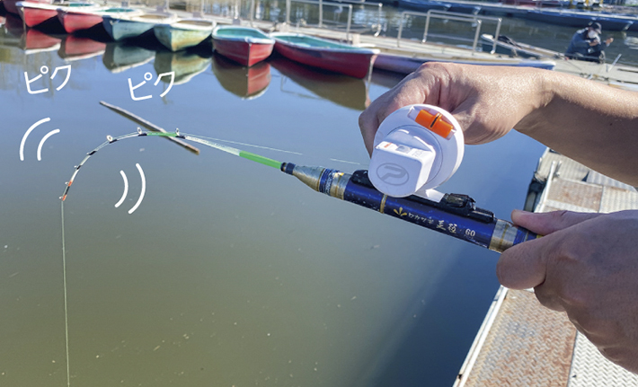 千葉県でもワカサギ釣りができる！子供連れや初心者にもおすすめな市原市・高滝湖