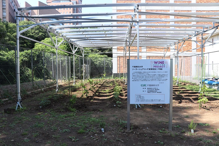 千葉商科大学